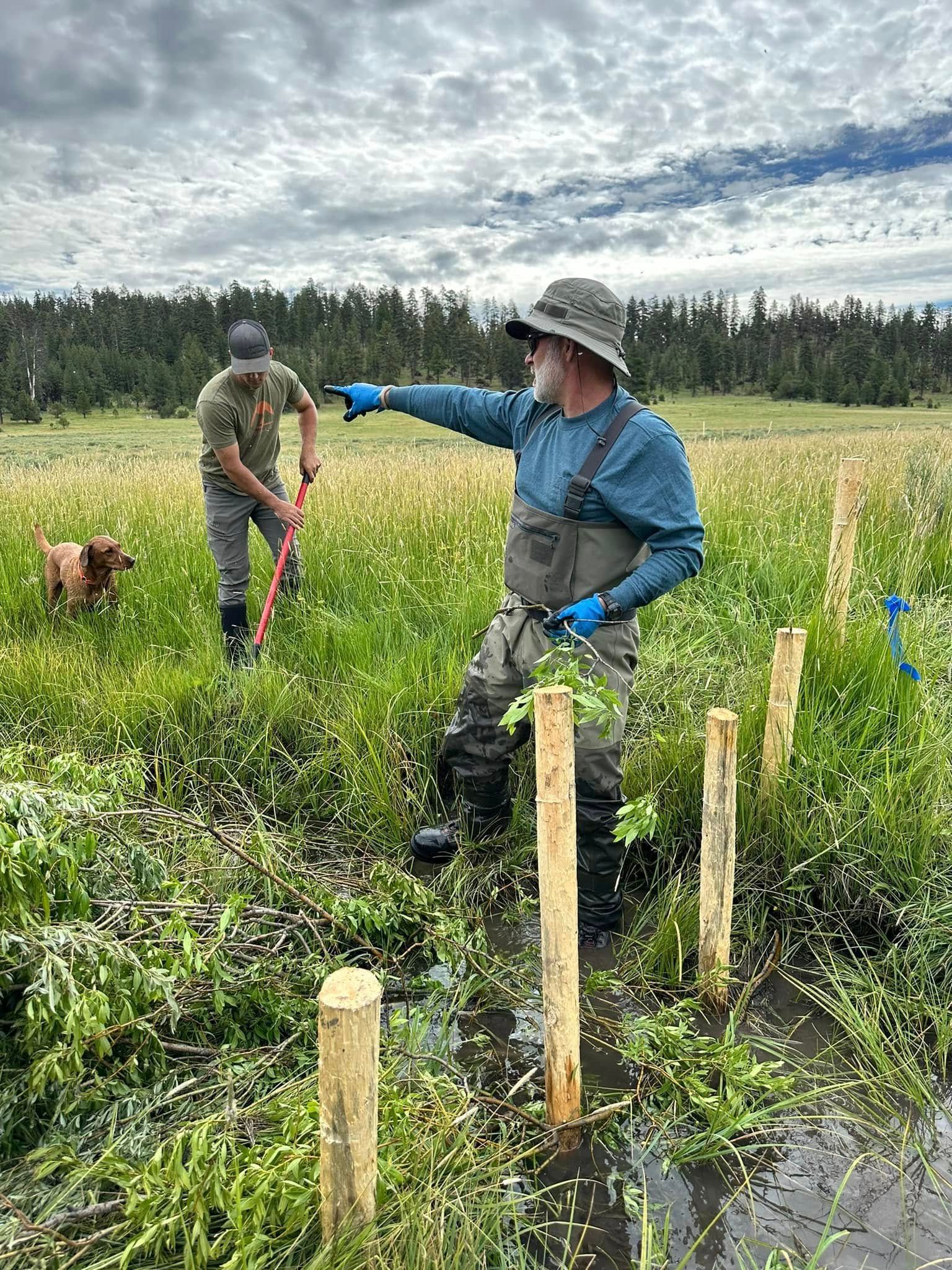 Two people in hats working in a wet field, one pointing while a dog stands nearby under a cloudy sky