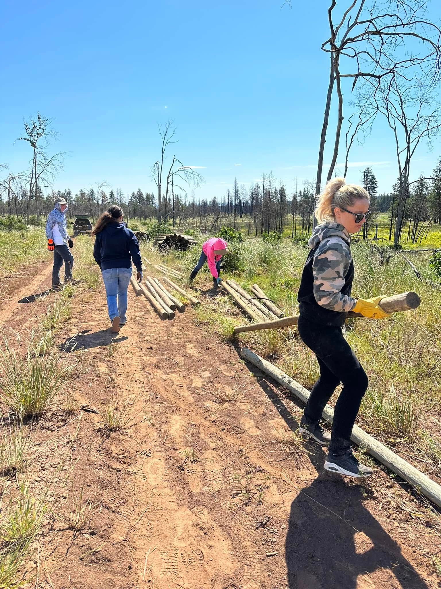 People clearing debris along a dirt road with fallen logs under a sunny blue sky