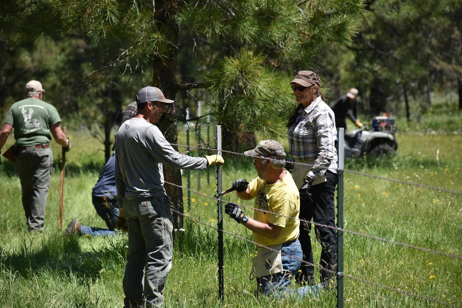 People working in a grassy field near a wire fence, planting or tending vegetation.