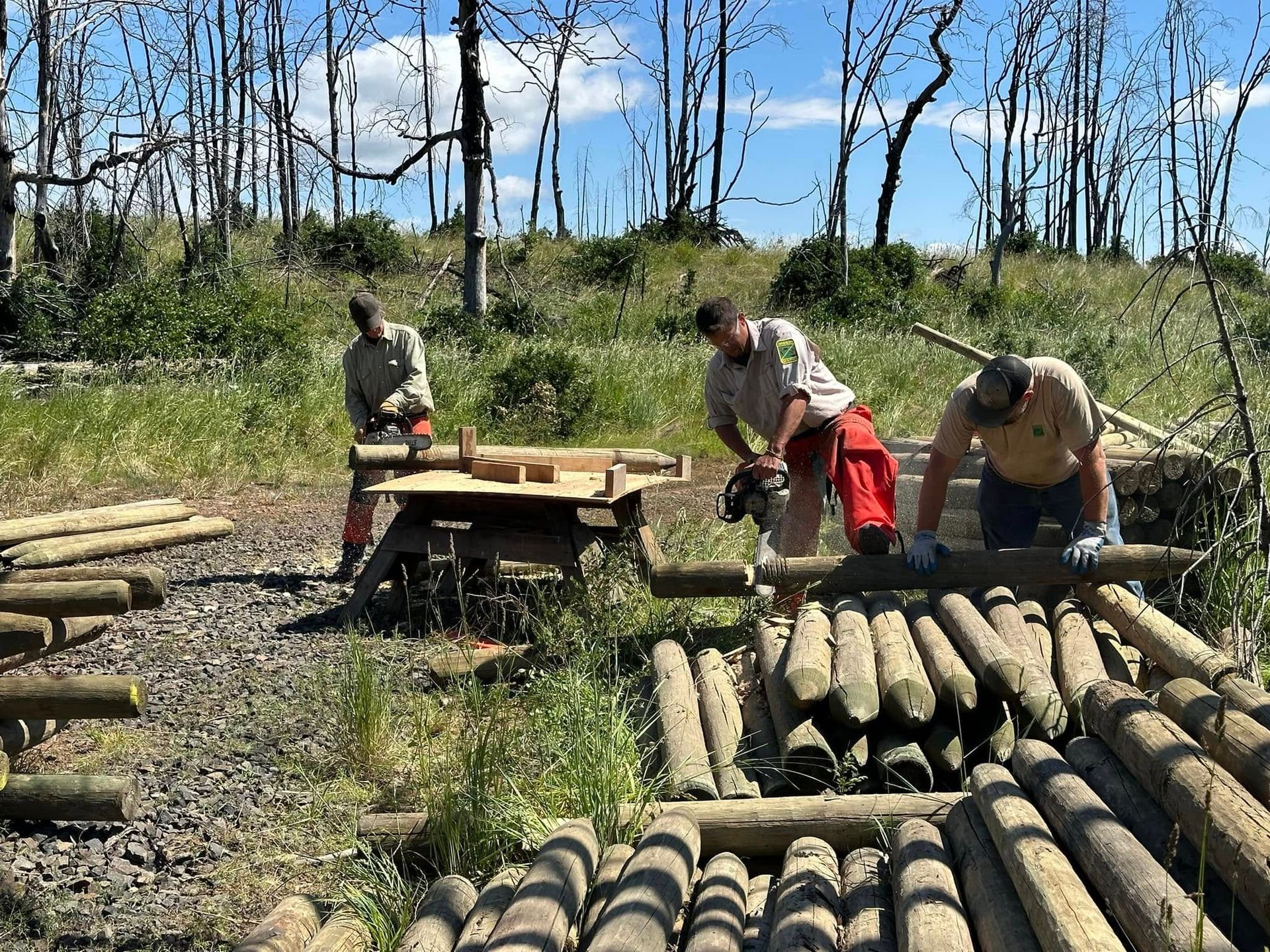 Workers stacking logs outdoors beside a table and piles of cut timber under a clear sky