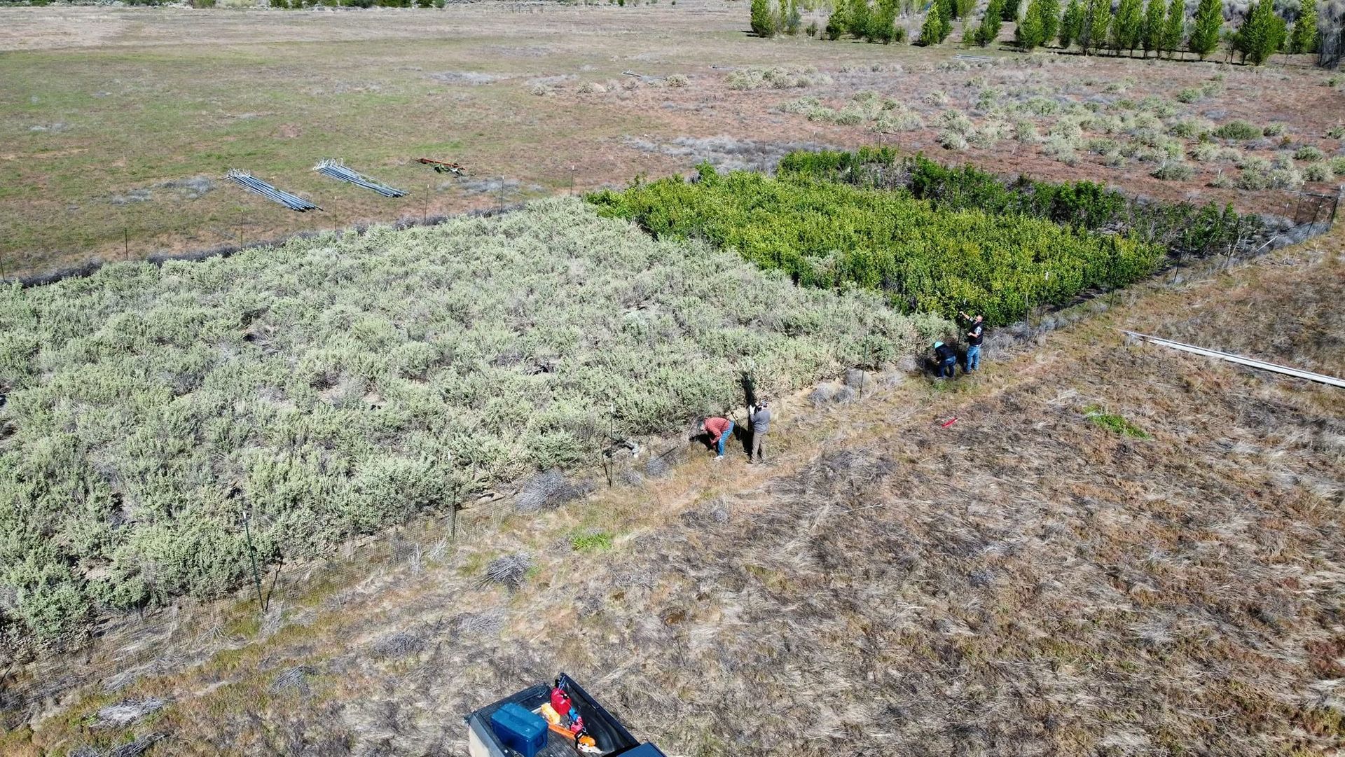 Aerial view of people working in patchy field plots with green and brown vegetation.