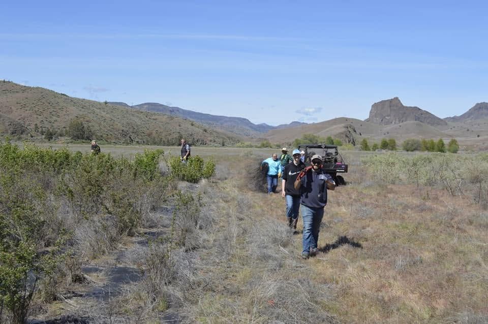 Hikers walking along a dry grassland trail toward a rocky mesa under a blue sky