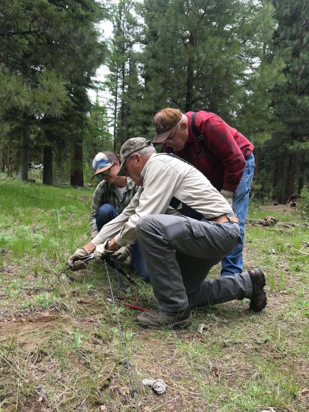 Three hikers crouch in a forest, examining something on the ground.