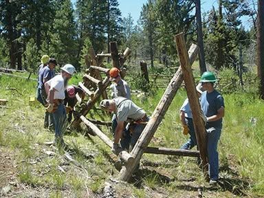 People working together to build a wooden fence in a grassy forest clearing