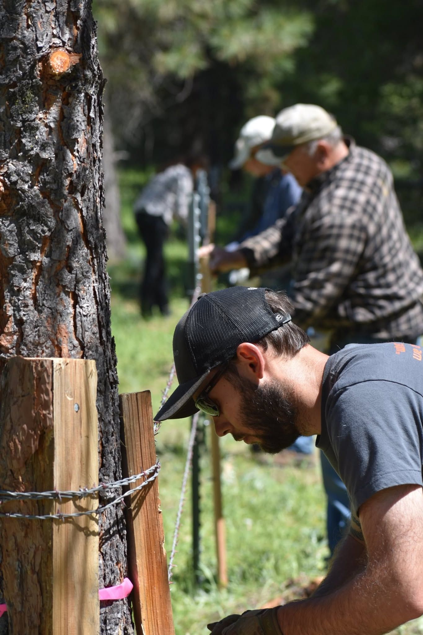 People working outdoors with tree trunks and wooden posts in a grassy area