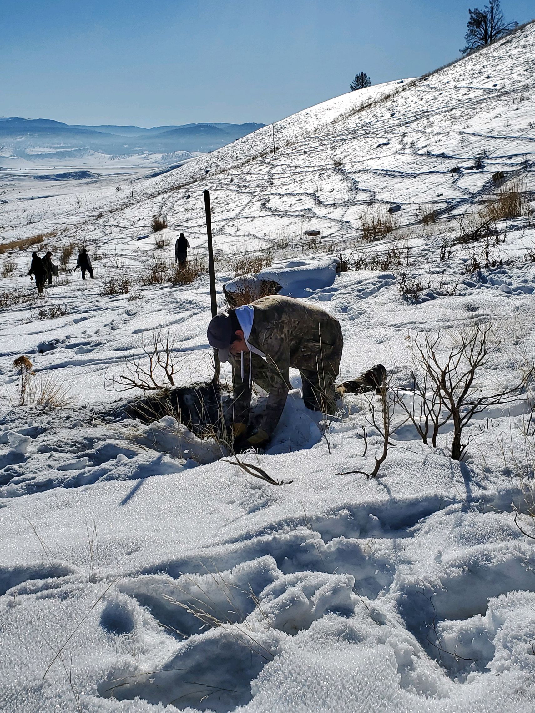 Person with a dog in a snowy hillside landscape under a bright blue sky
