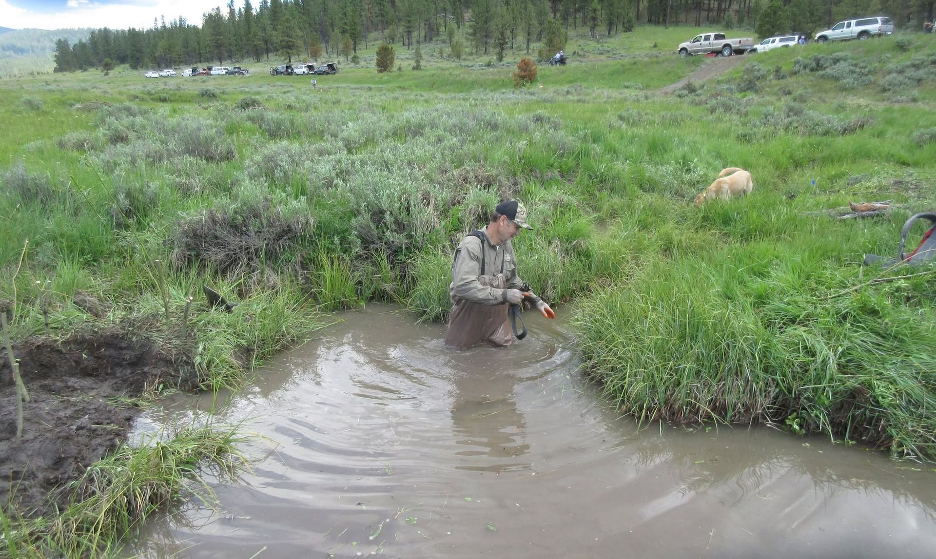 Person in camouflage crouches in a muddy creek beside a grassy field and parked vehicles.