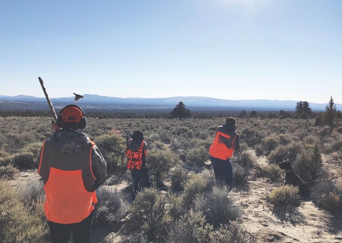 Hikers in orange vests walking through a scrubby field with mountains in the distance under a clear sky