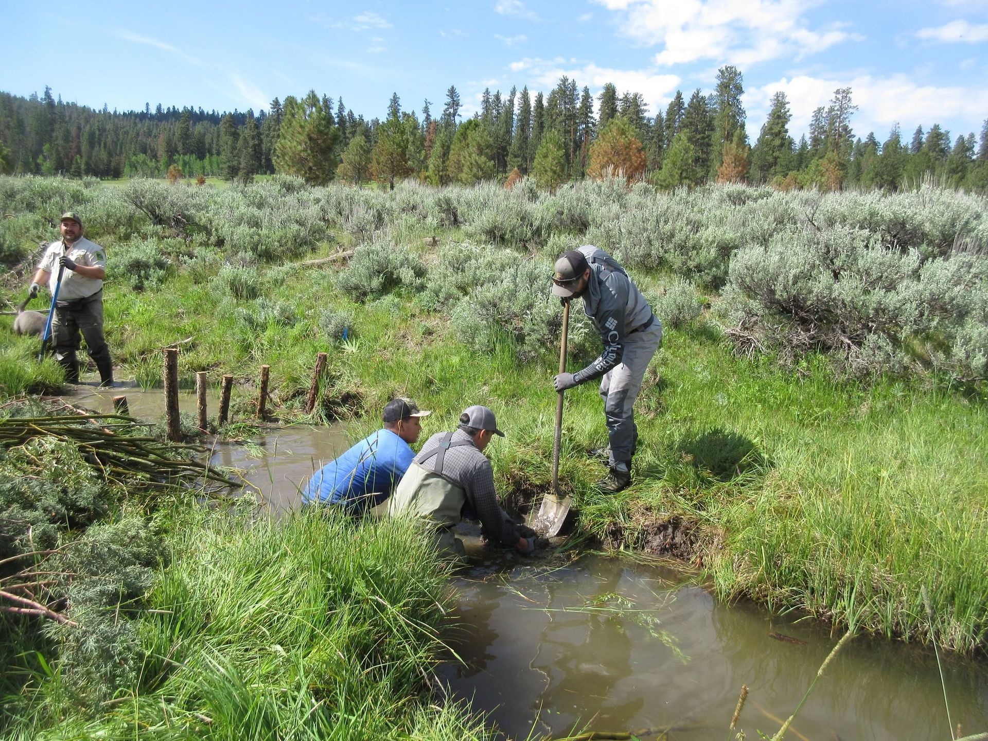 People working by a muddy stream in a grassy field, planting stakes and handling a net.