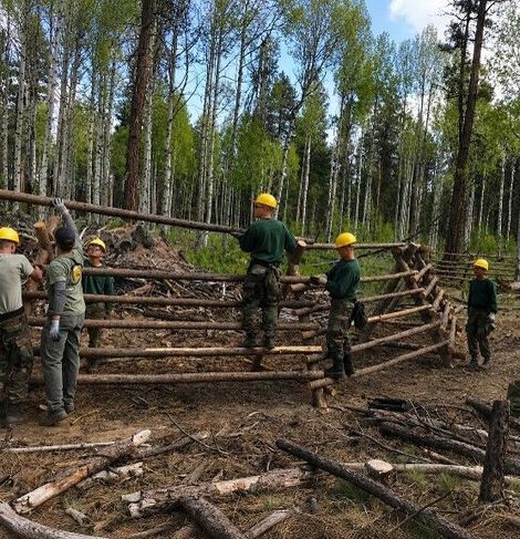 Children in yellow helmets building a wooden fence in a forest clearing