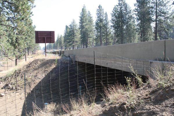 Concrete bridge over dry creek bed in a pine forest, with a road sign ahead.