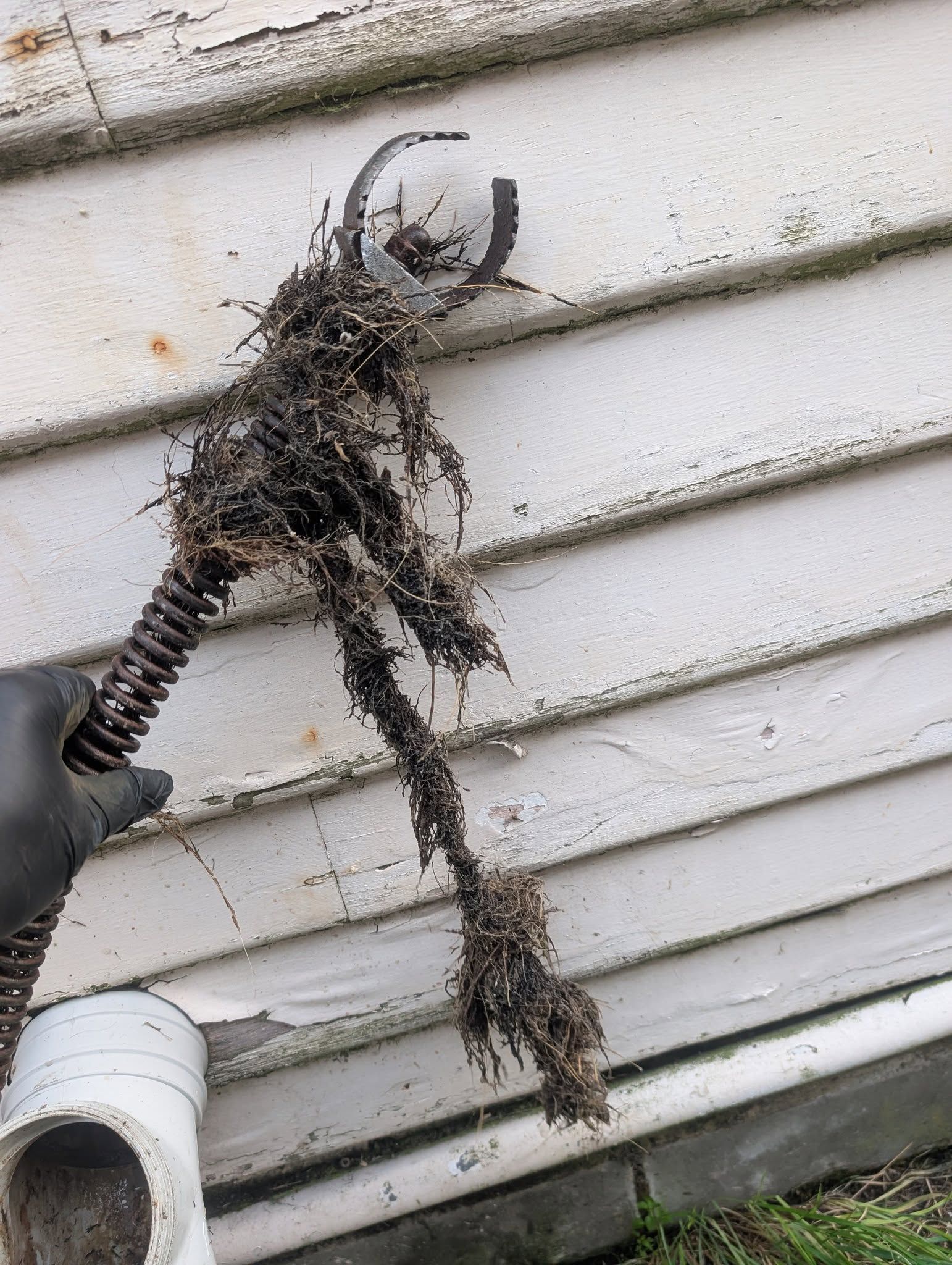 A Gloved Hand Holds a Drain Auger Covered in Clumps of Dark — TasWide Plumbing in Kingston, TAS