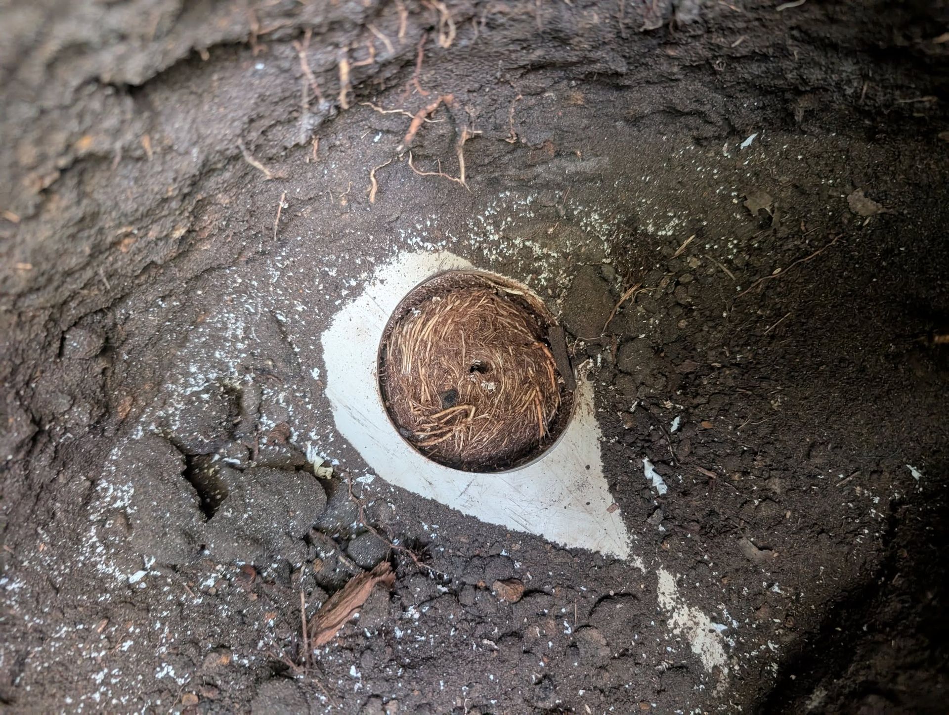 A View Looking Down Into a Hole at a Circular Pipe Capped — TasWide Plumbing in Margate, TAS