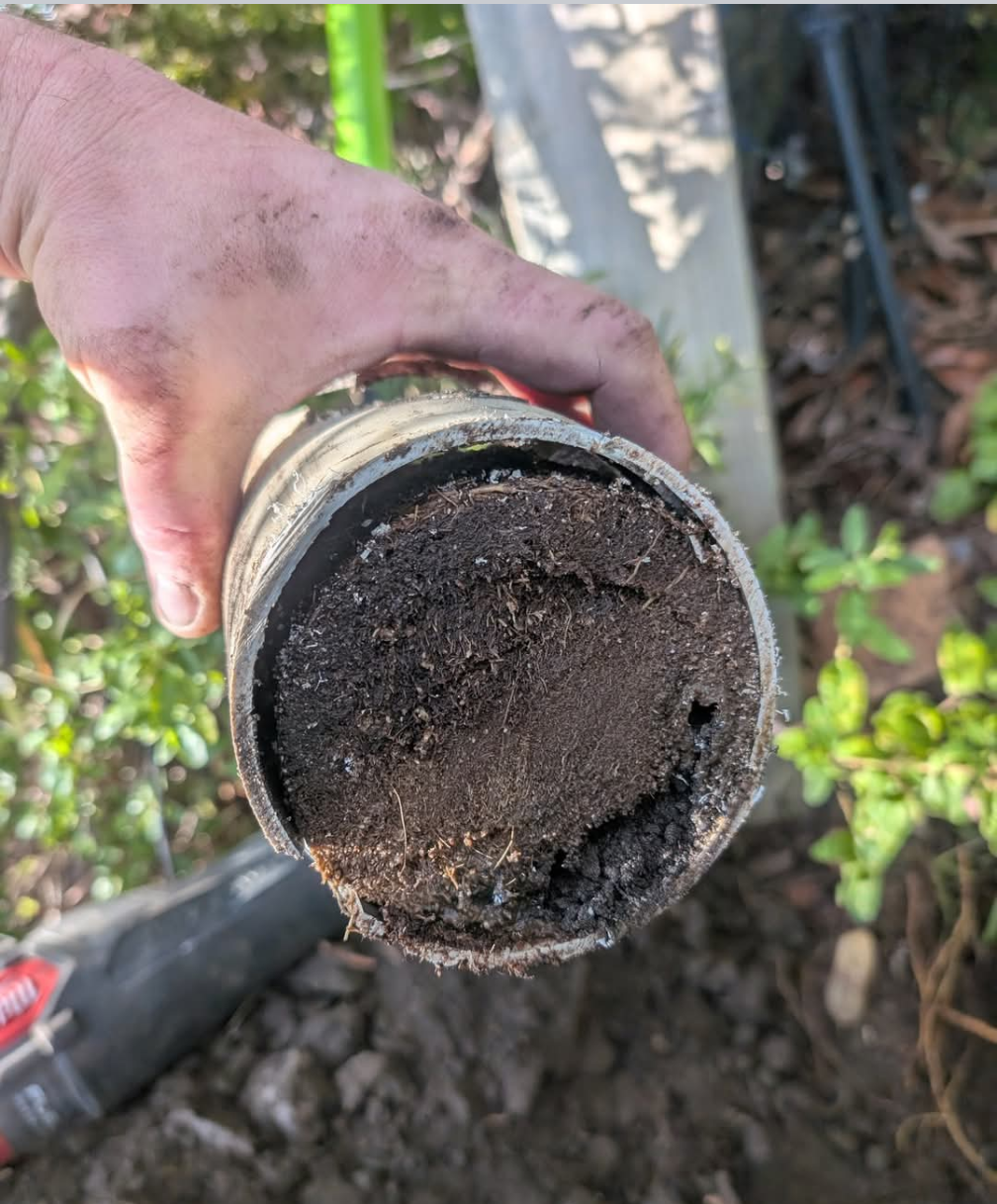 Hand holding a dirty, round filter or pipe end packed with soil outdoors. — TasWide Plumbing in Kingston, TAS