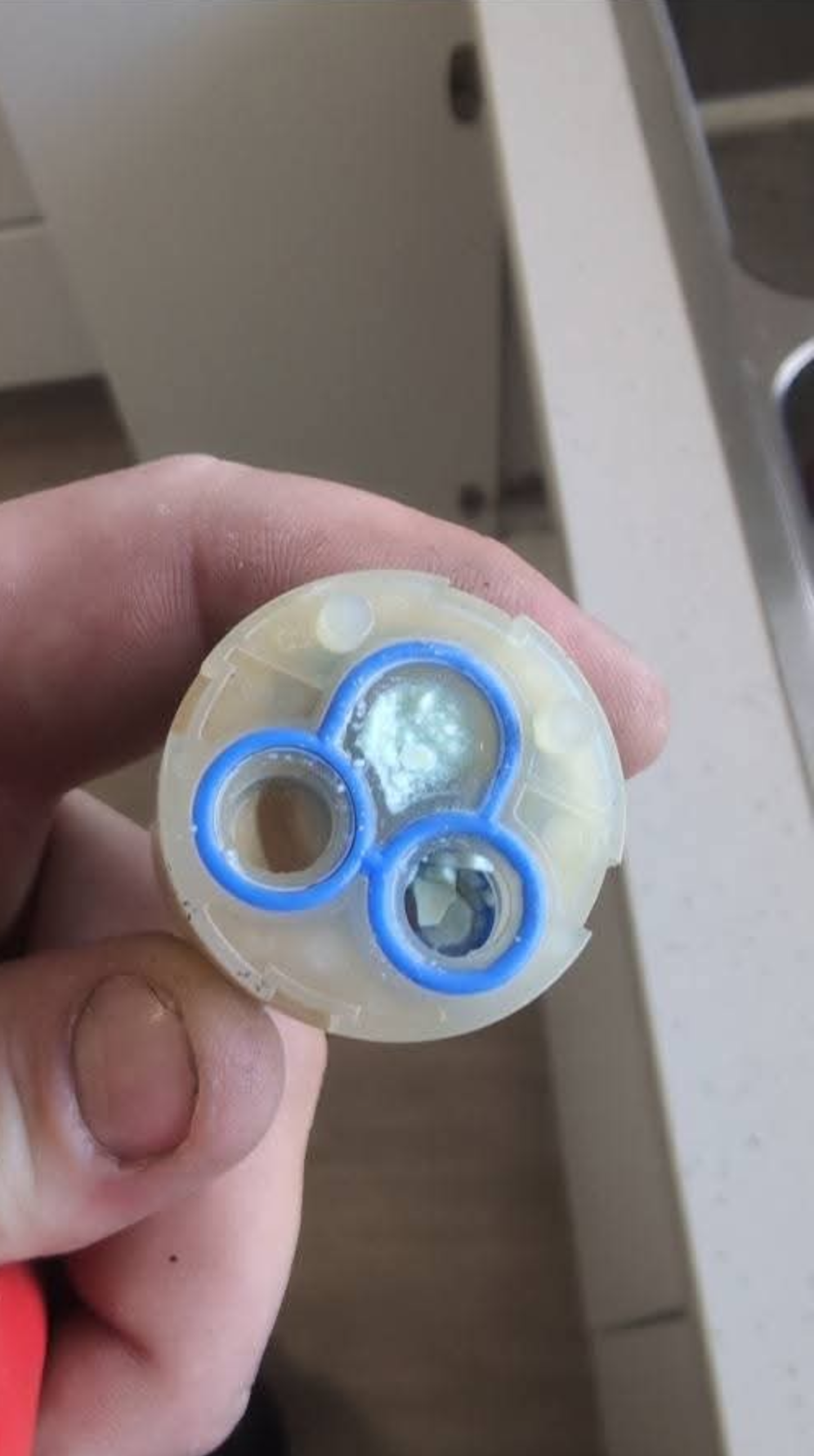 Close-up of a hand holding a round cable end with three blue-ringed wires inside the connector — TasWide Plumbing in Kingston, TAS