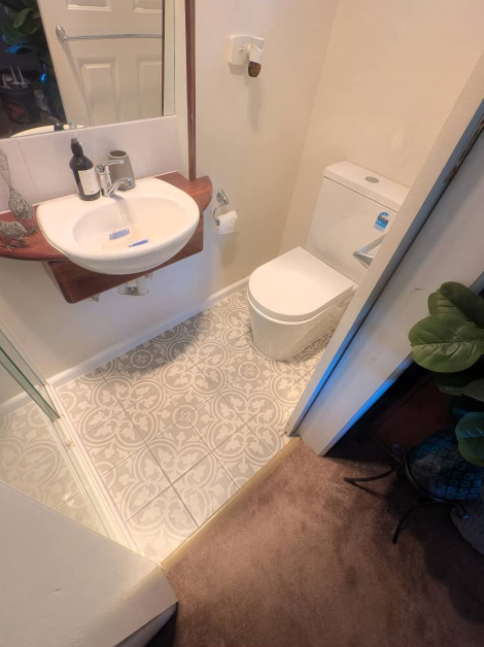 Small bathroom with a sink, toilet, patterned tile floor, and a plant by the doorway. — TasWide Plumbing in Kingston, TAS