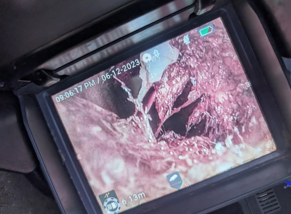 Close-up of a medical monitor showing a pink internal tissue view through an — TasWide Plumbing in Kingston, TASendoscope.