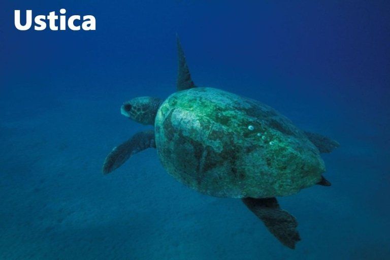 escursioni a ustica escursioni a ustica