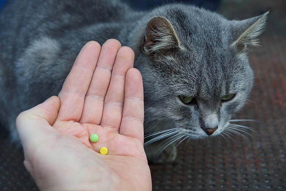 Prodotti veterinari