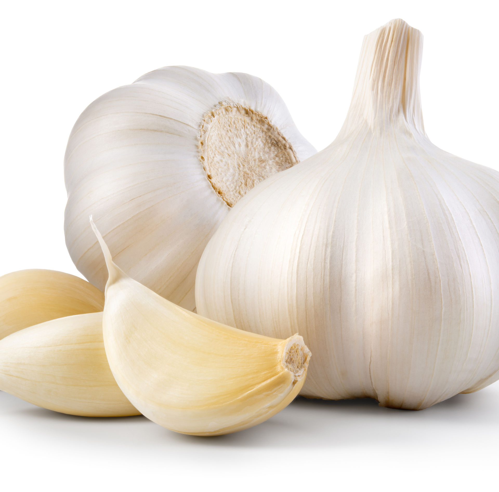 Whole garlic bulbs and peeled cloves on a white background