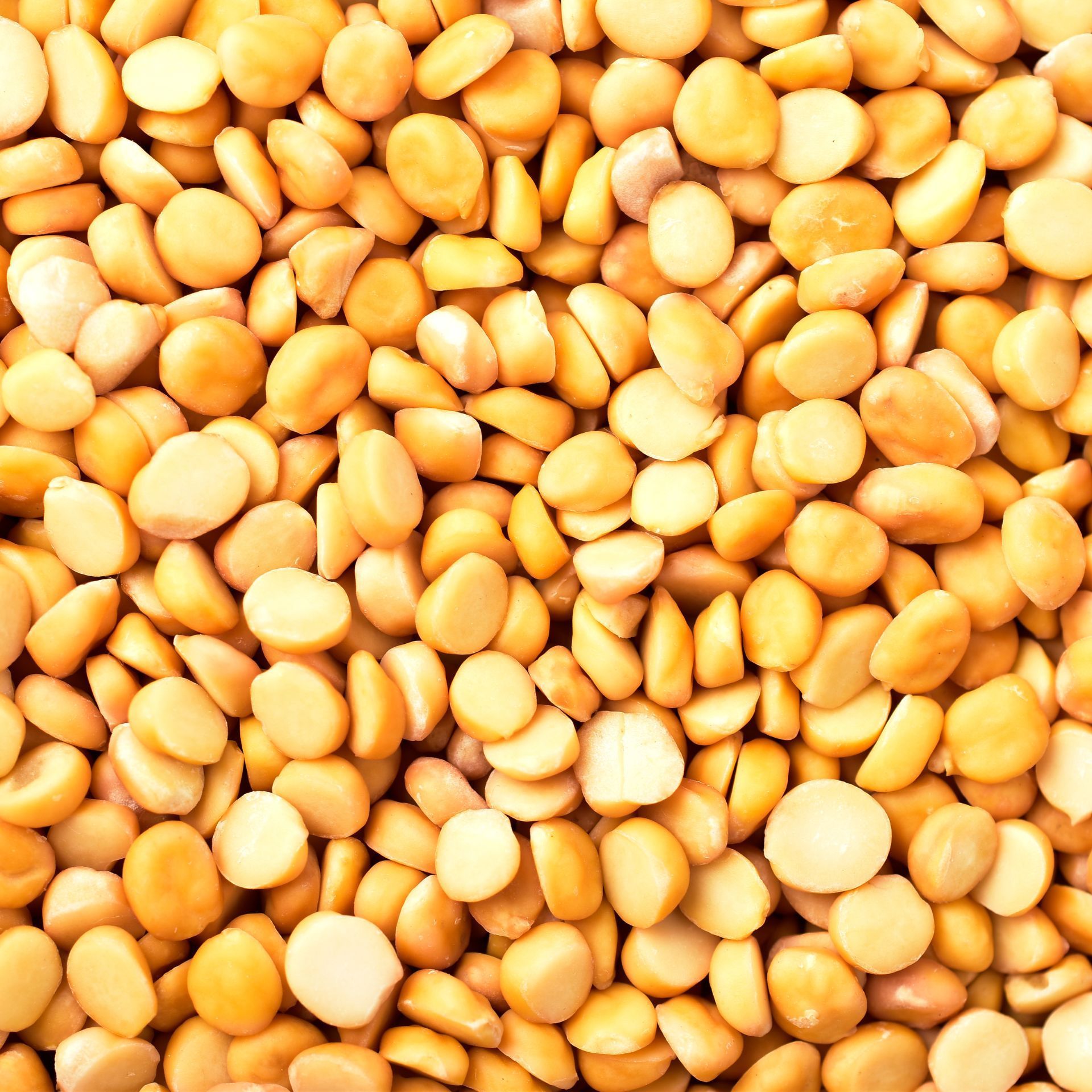 Dahl