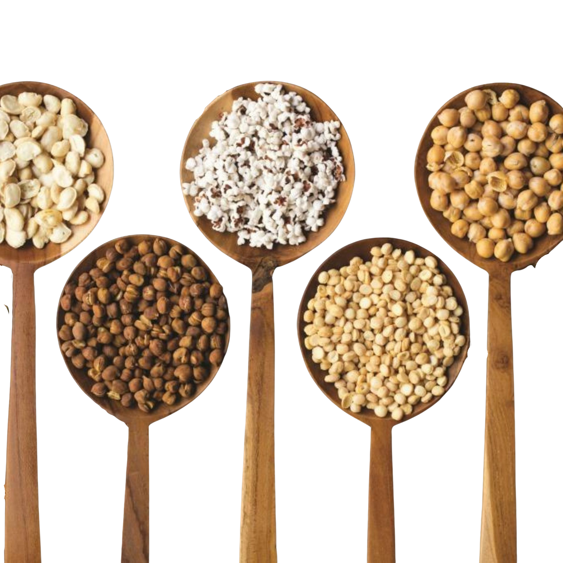 Five wooden spoons filled with assorted legumes and grains on a white background
