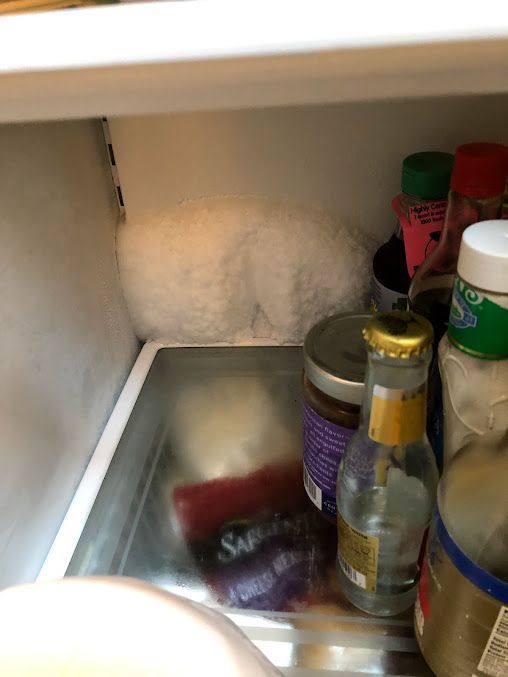 a refrigerator filled with bottles , jars , and a bag of salt .