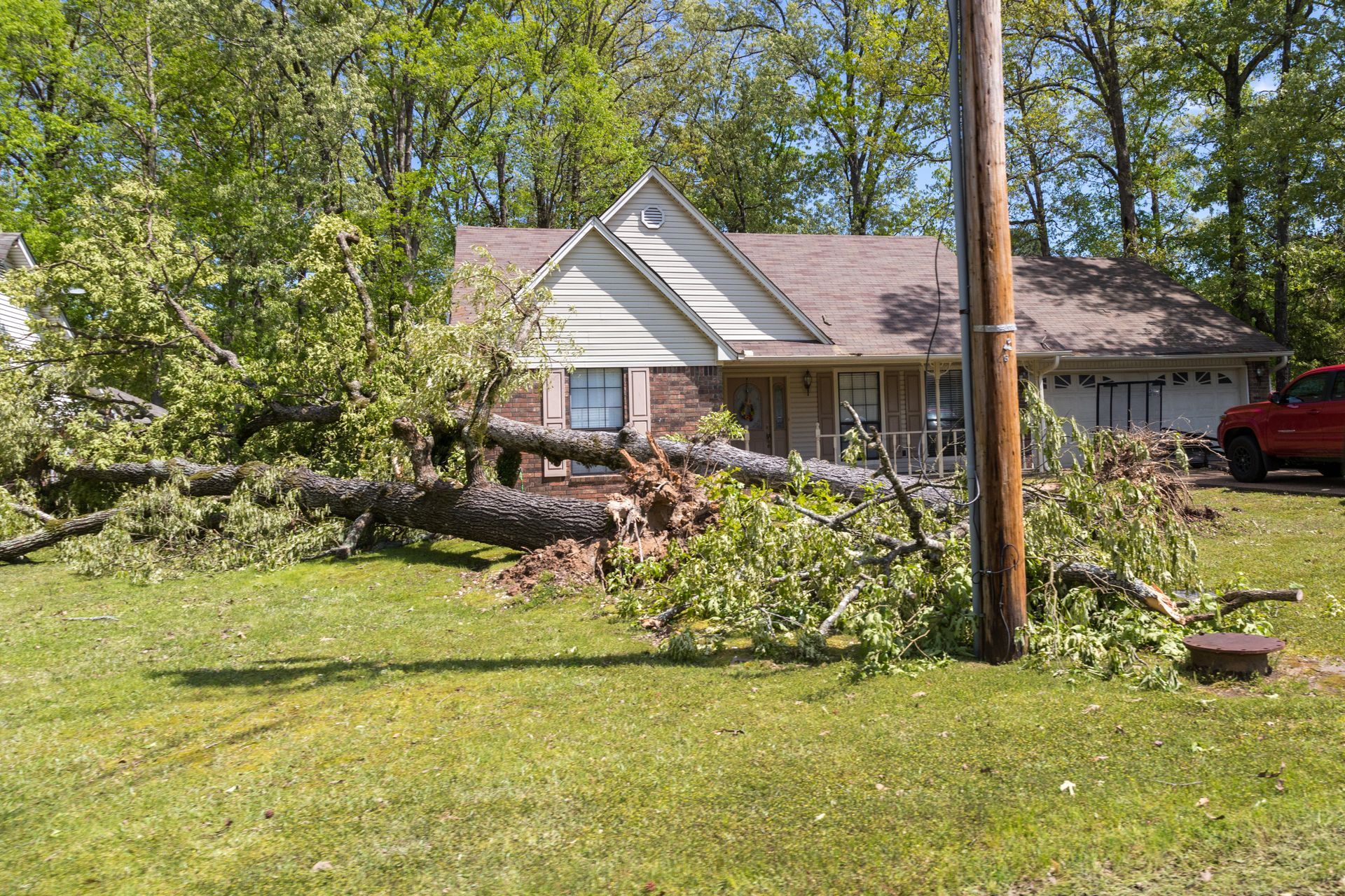 Wood Chipper Grinds Away — Columbia, SC — Affordable Carolina Tree Service Large fallen tree across a residential front yard after a storm needing storm damage service.