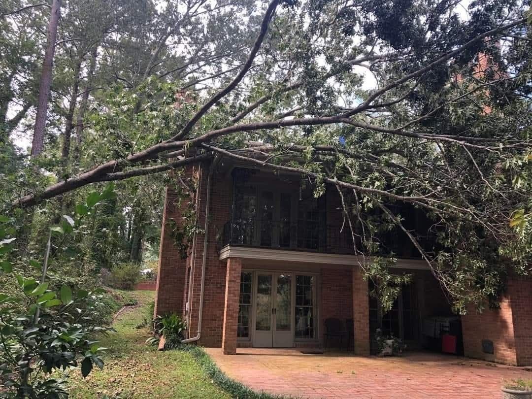 Brick house partly hidden by trees, with a glass door and shaded porch.