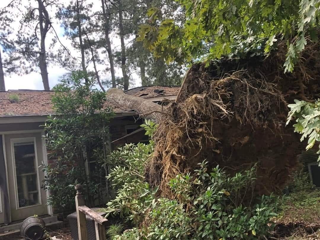 Large tree uprooted beside a house, with debris and a damaged roof in a wooded yard.