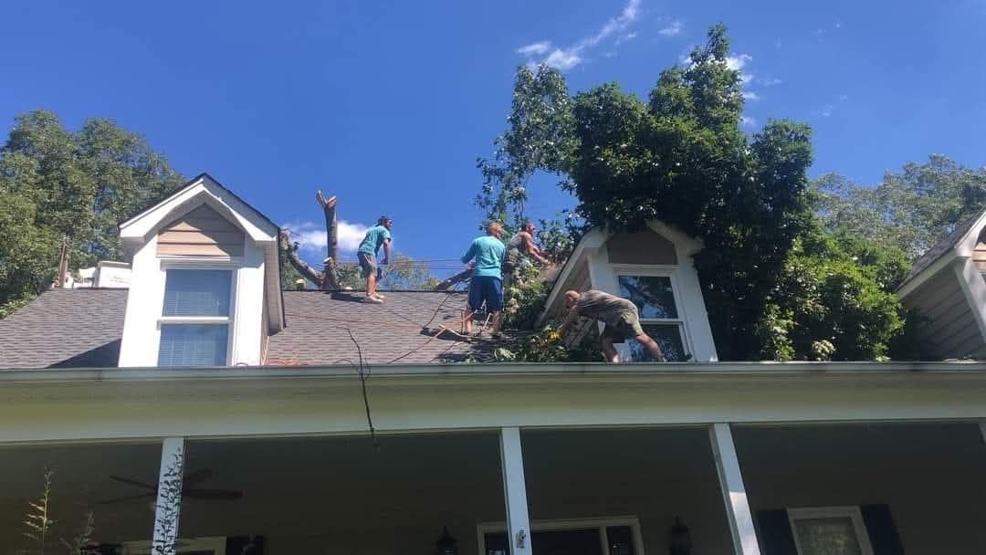 Workers trimming trees on a house roof under a clear blue sky