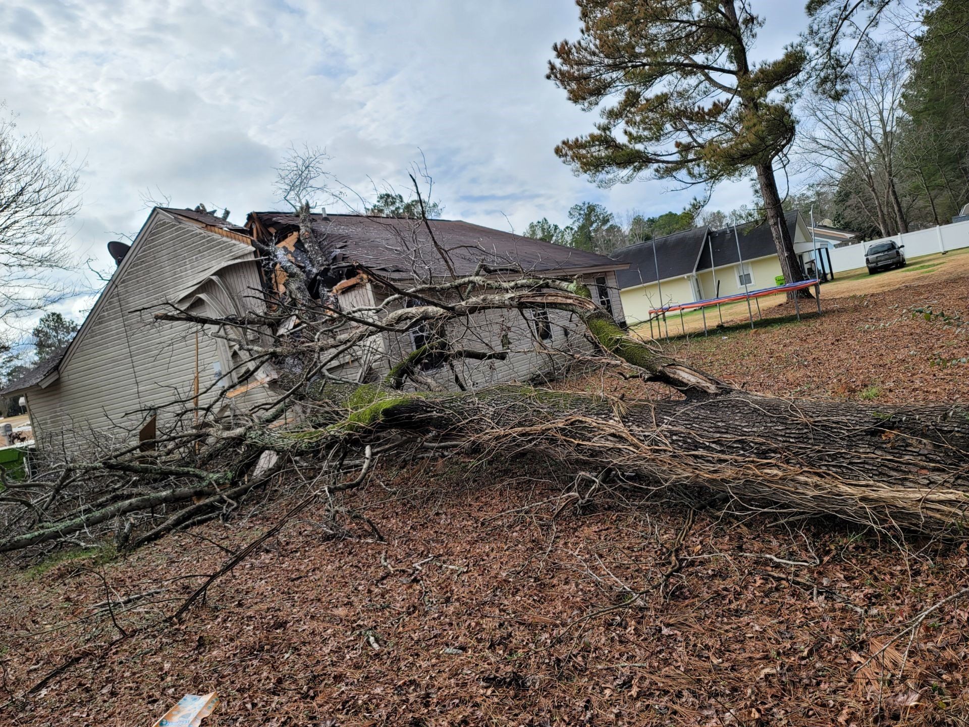 Damaged house with fallen tree limbs and debris scattered across a leaf-covered yard