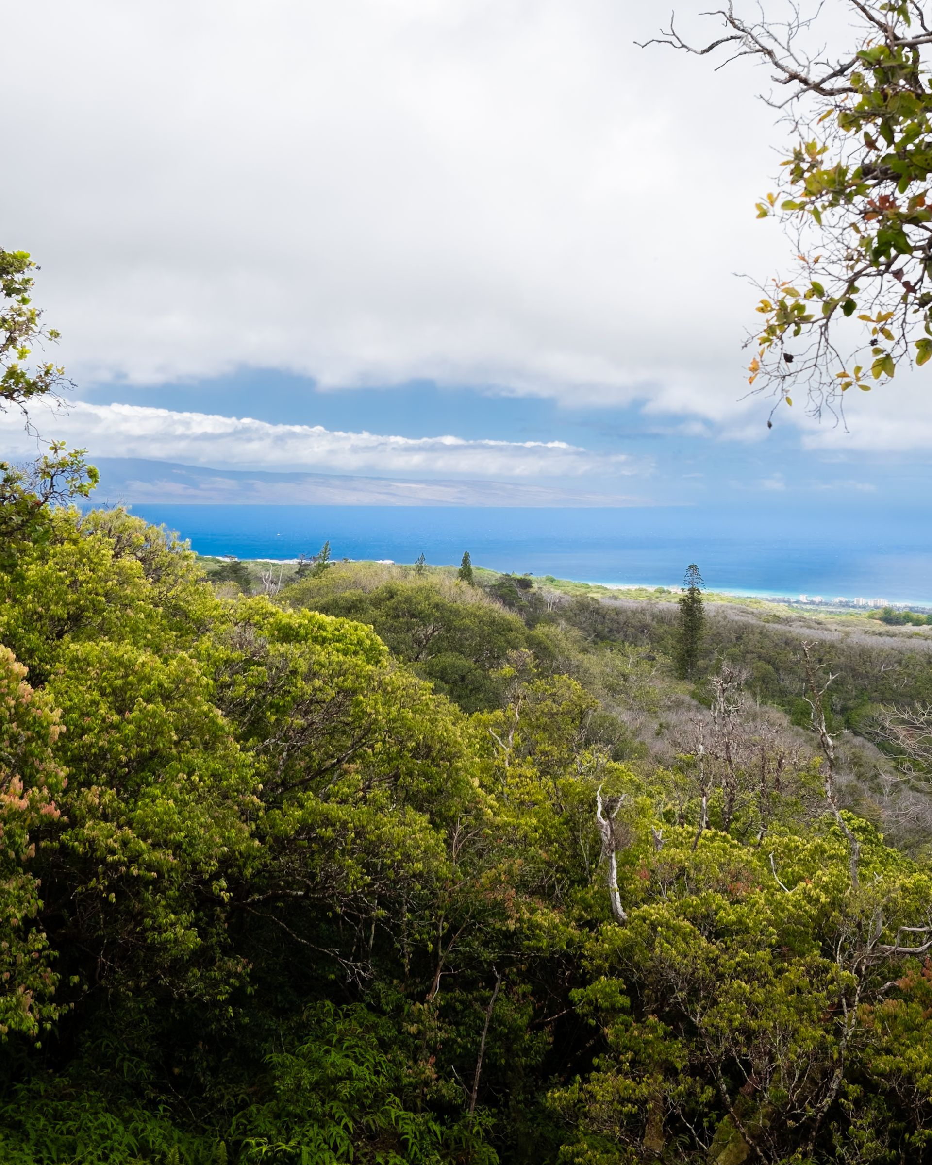 Views of Lahaina