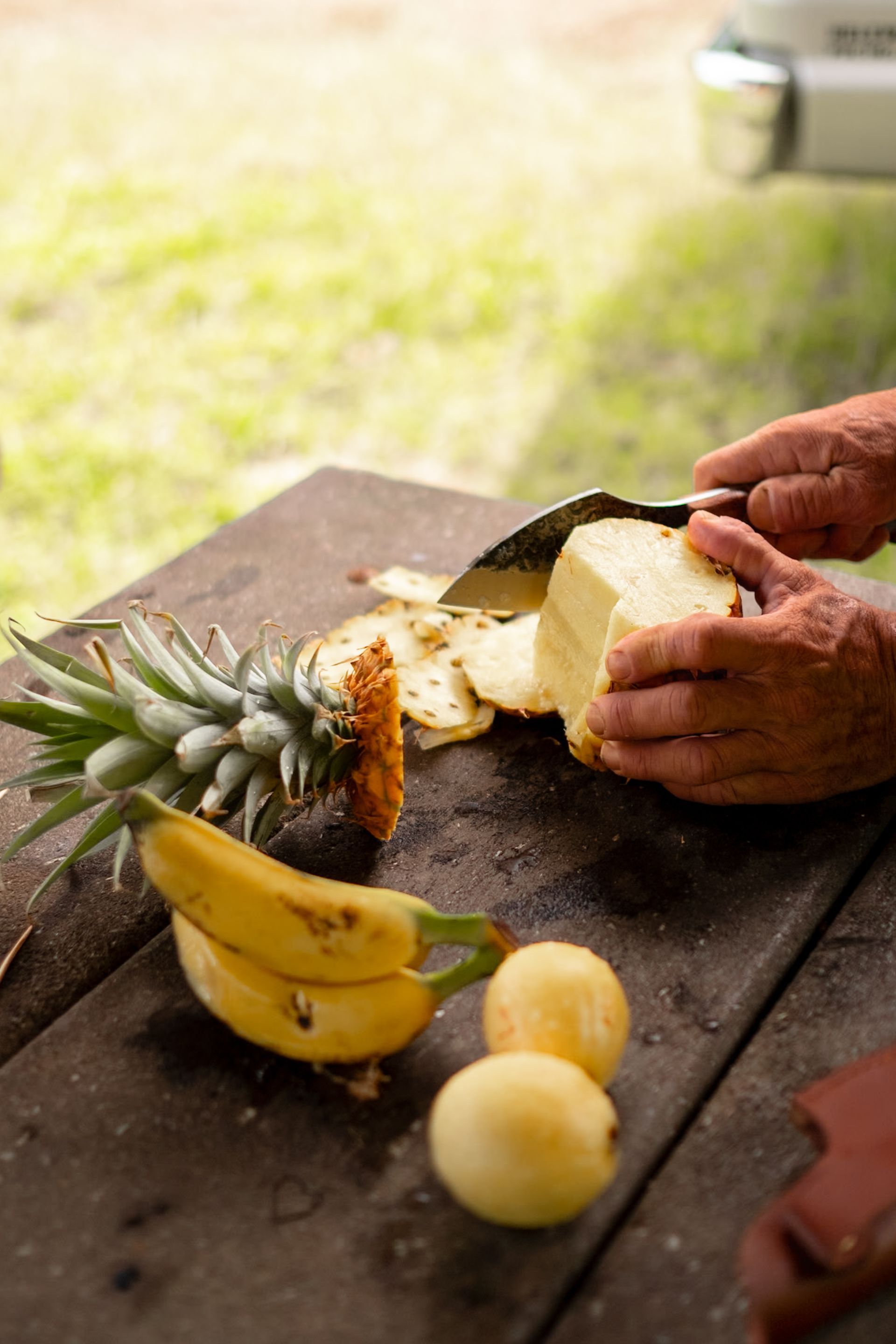 Lunch on the Maui Hike