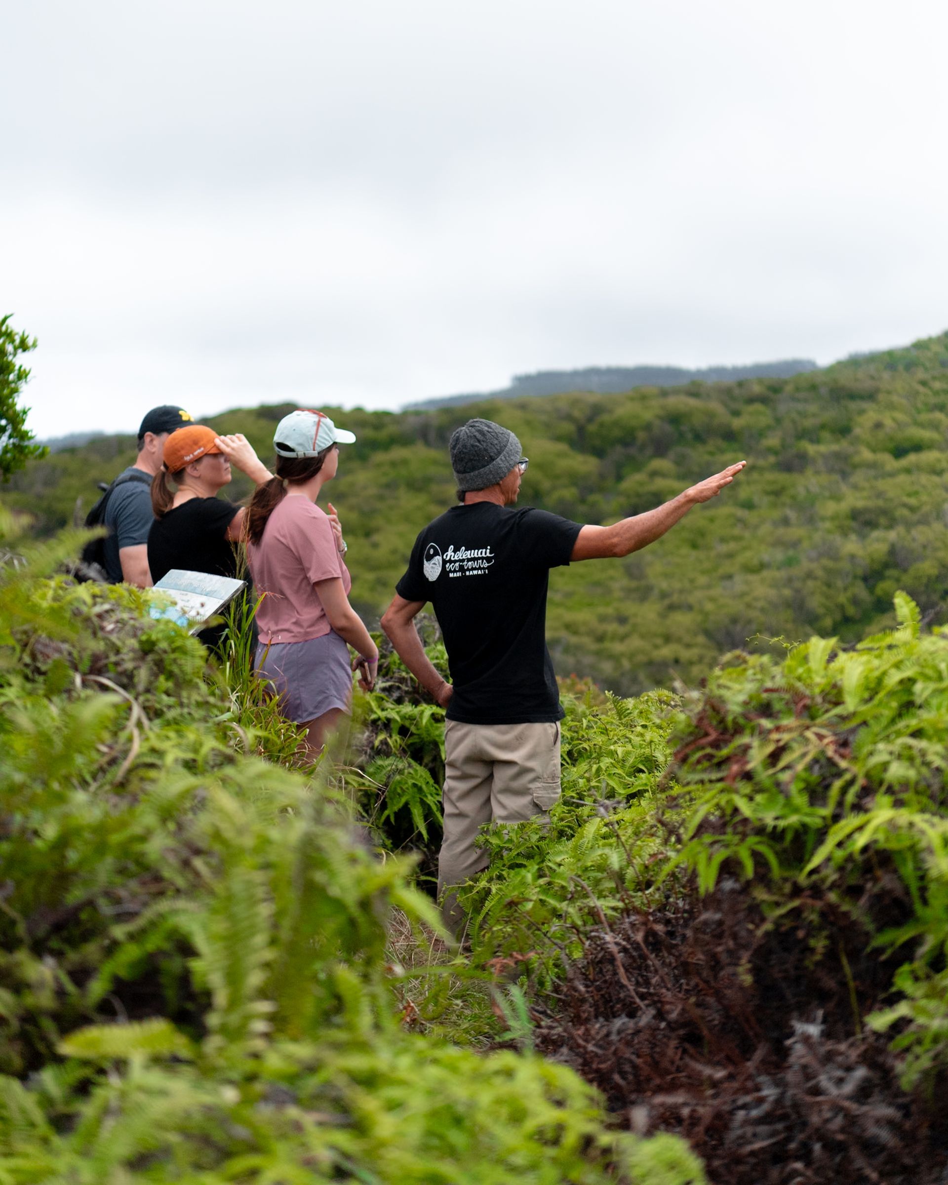 Maui Hiking
