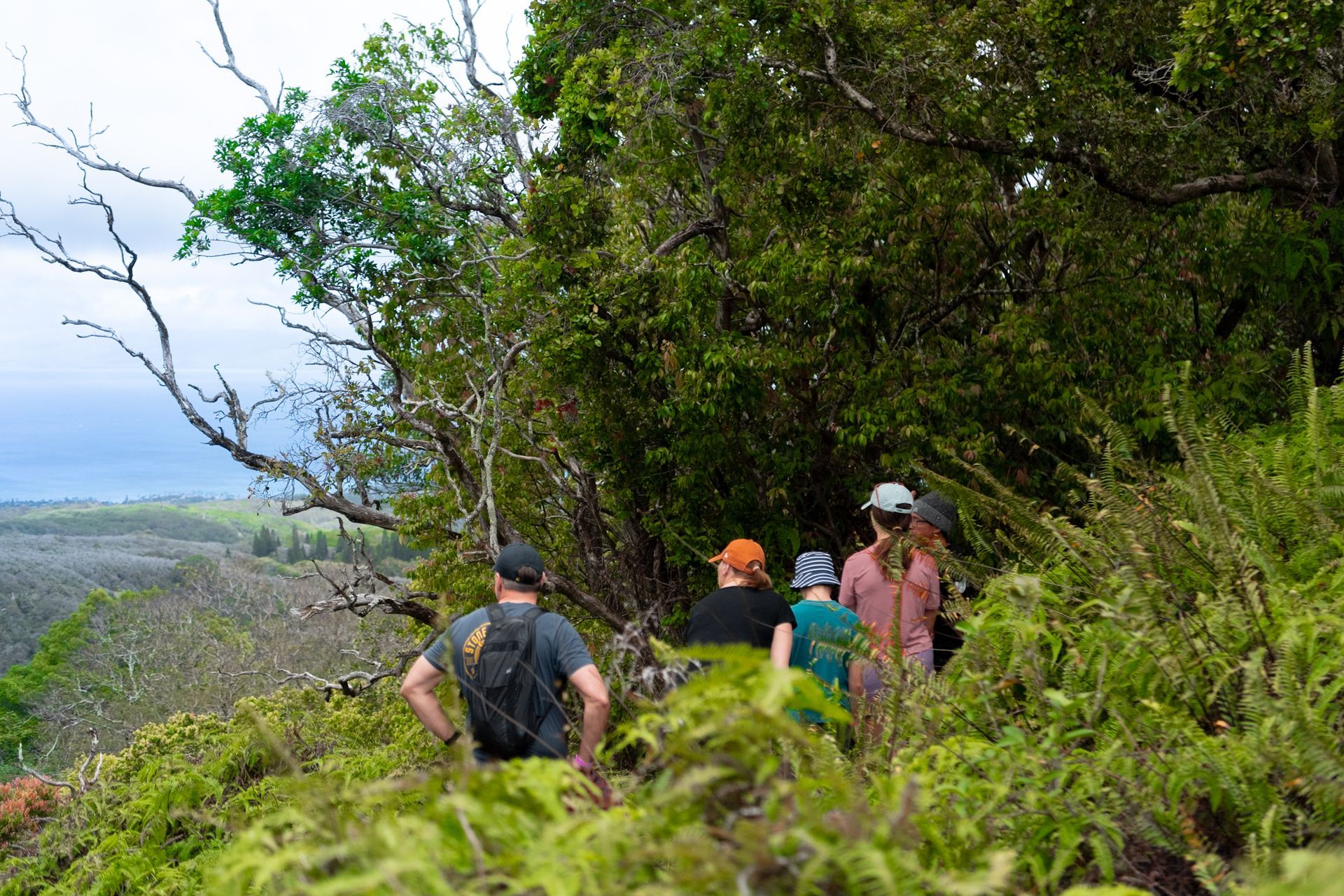 Clients enjoying hiking on Maui