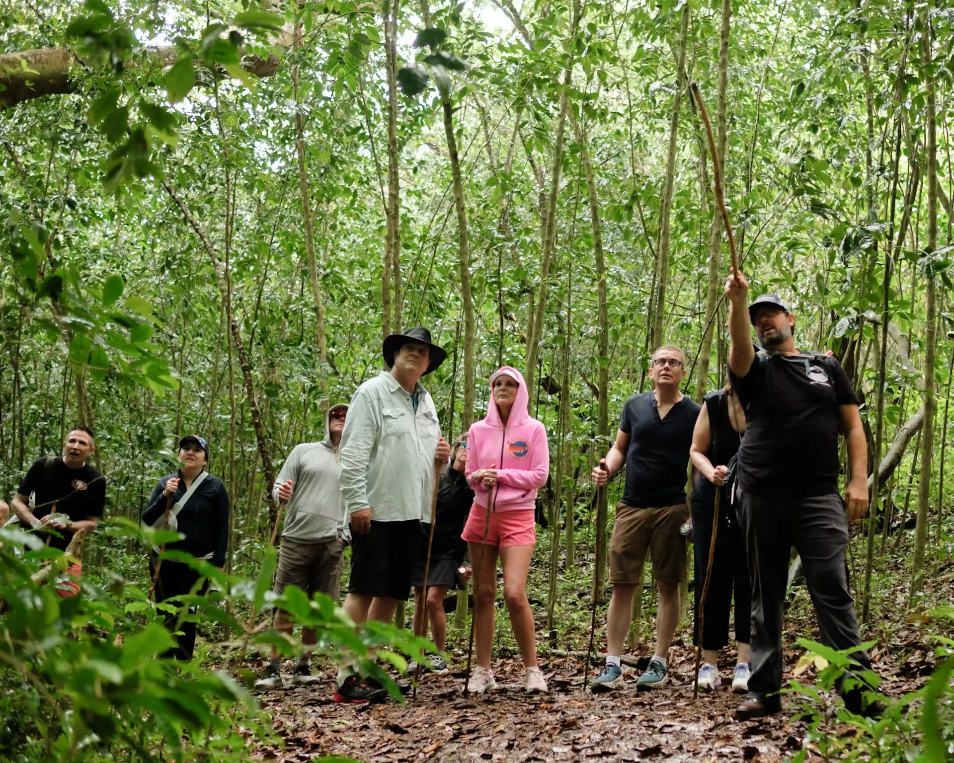 Honolua Ridge Hike