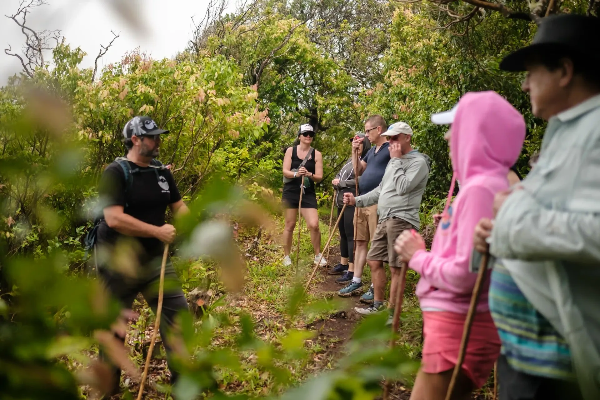 Hiking Honolua Ridge