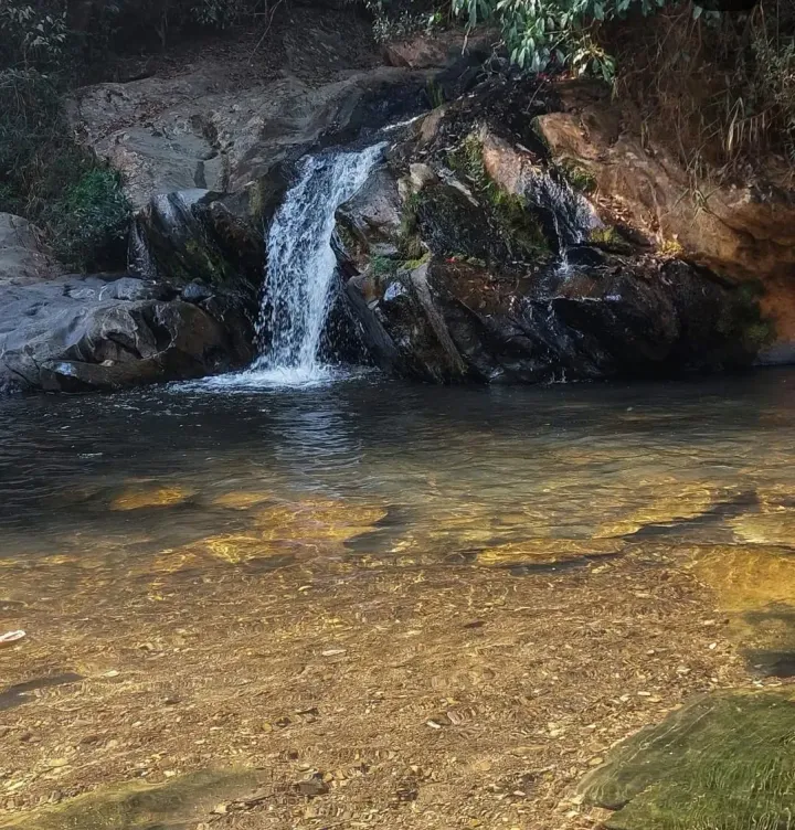 Uma pequena cachoeira deságua em uma piscina rasa e cristalina, com um leito rochoso de cor dourada, cercado por folhagem exuberante.