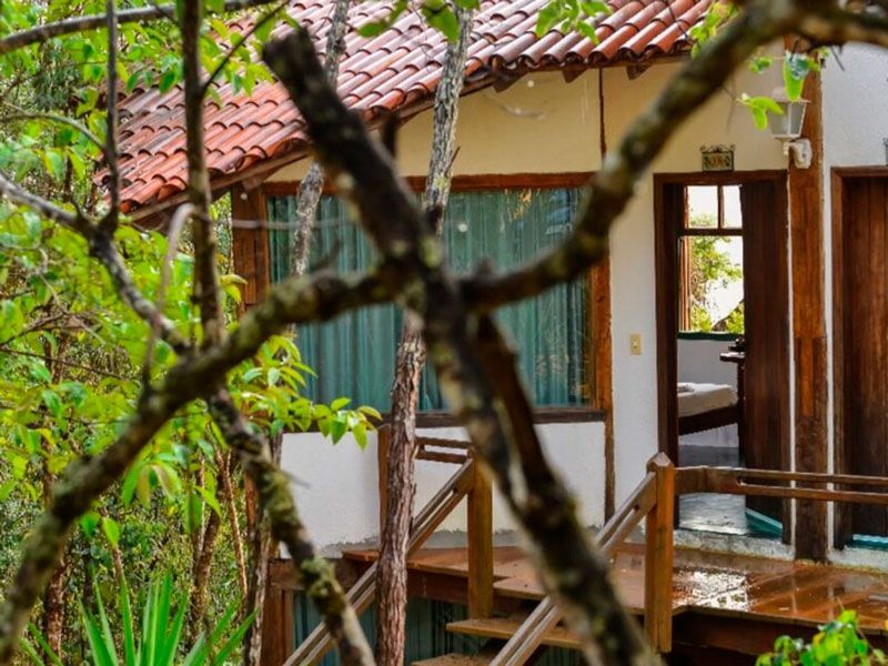 Uma cabana com telhado de telhas e deck de madeira, aninhada em uma floresta verdejante e exuberante, vista através dos galhos das árvores em primeiro plano.