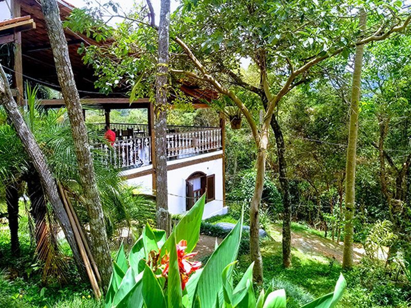 Um edifício branco com uma varanda de madeira, aninhado em uma floresta verdejante e exuberante, com uma planta florida em primeiro plano.