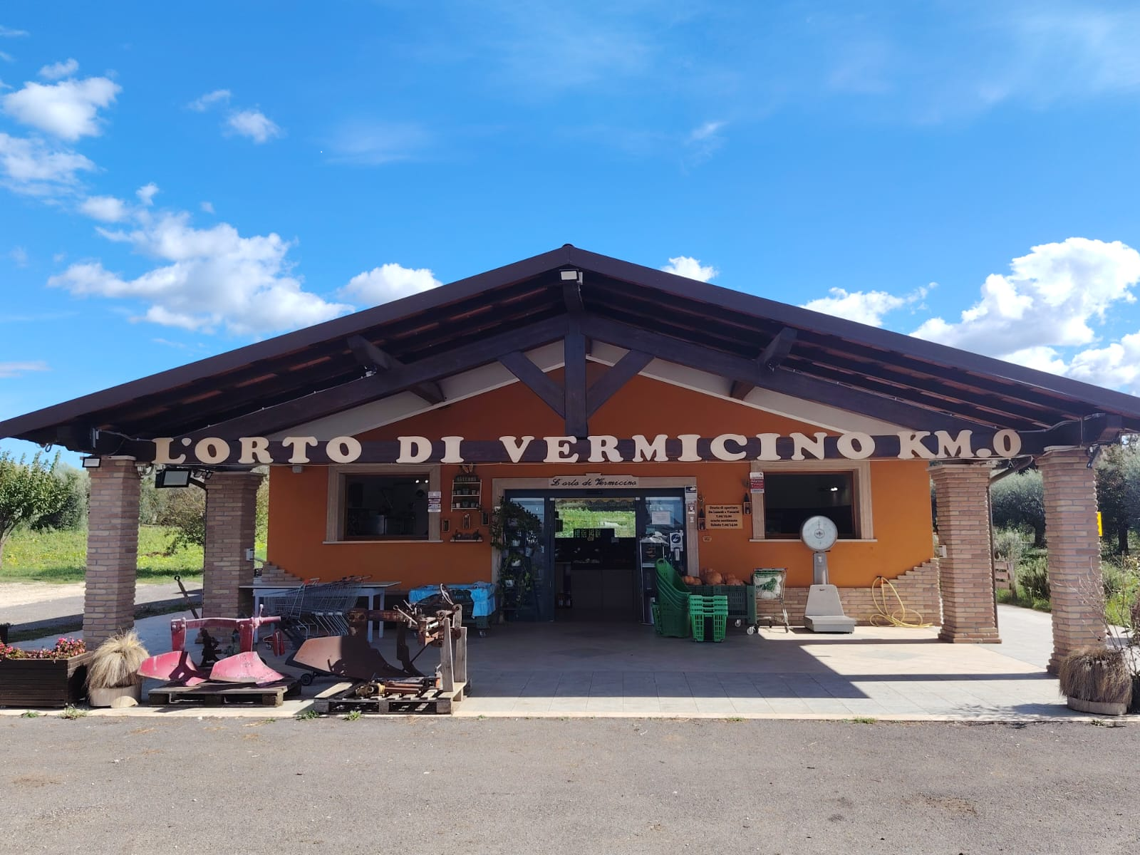 gusci di nocciola