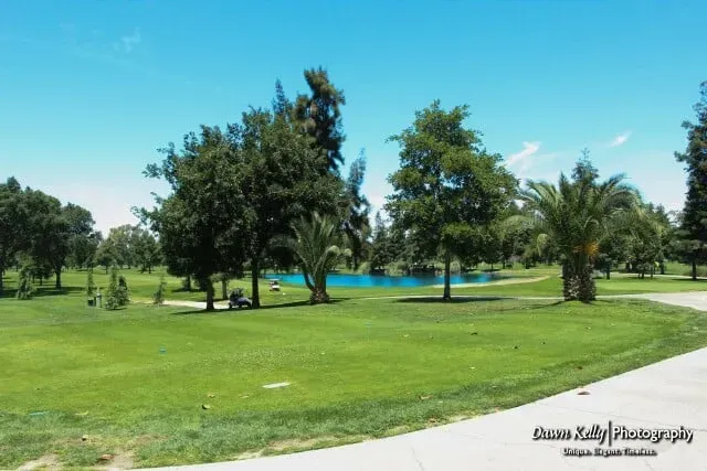 Sunny park with green lawn, scattered trees, and a small blue pond under a clear sky.