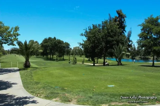 Sunny golf course with green fairway, palm trees, and a blue water hazard under a clear sky