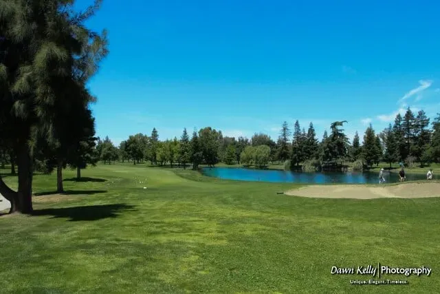 Sunny golf course with green fairway, trees, and a blue pond under a clear sky