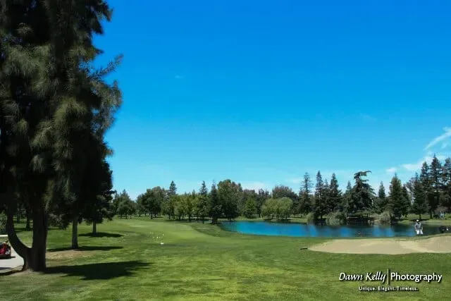 Sunny golf course with green fairways, trees, and a blue water hazard under a clear sky
