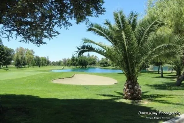 Palm tree framing a sunny golf course with sand bunker and green fairway.