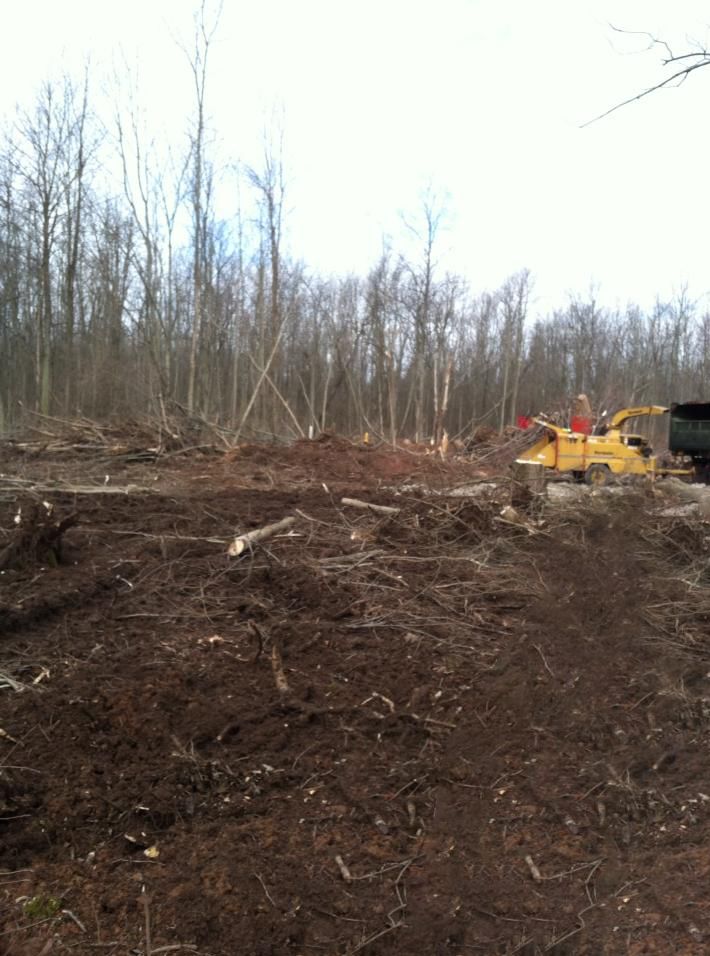 A large pile of dirt in the middle of a forest with trees in the background.
