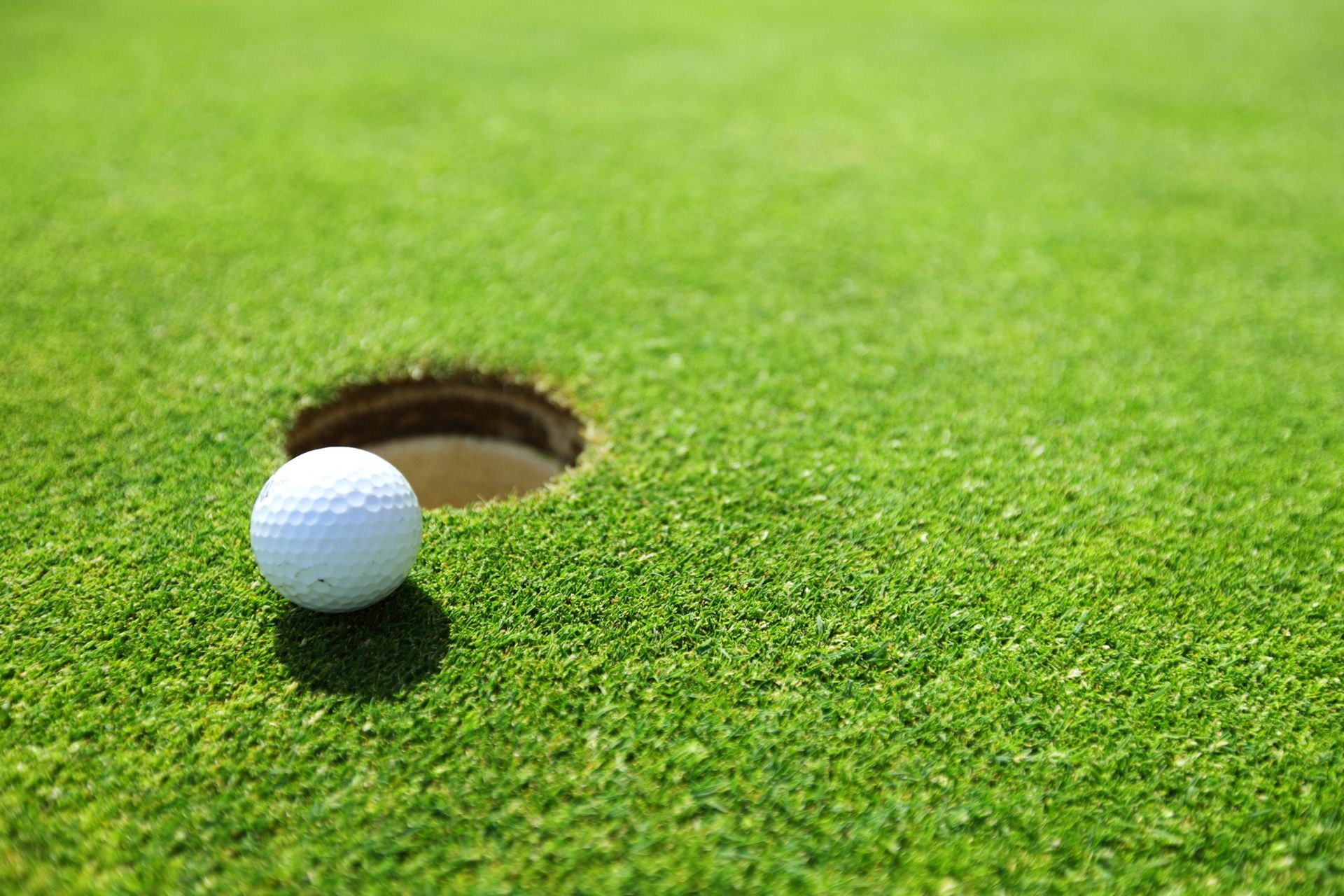 Group Golf Lessons in Palm Bay, FL Group Golf Lessons in Palm Bay, FL