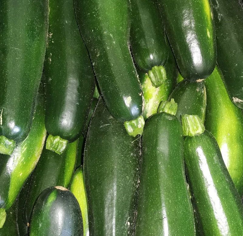 Zucchine